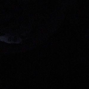 Meet your Posher, Noemi